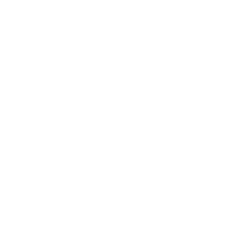 Vanesa Brombin — Publicidad Digital